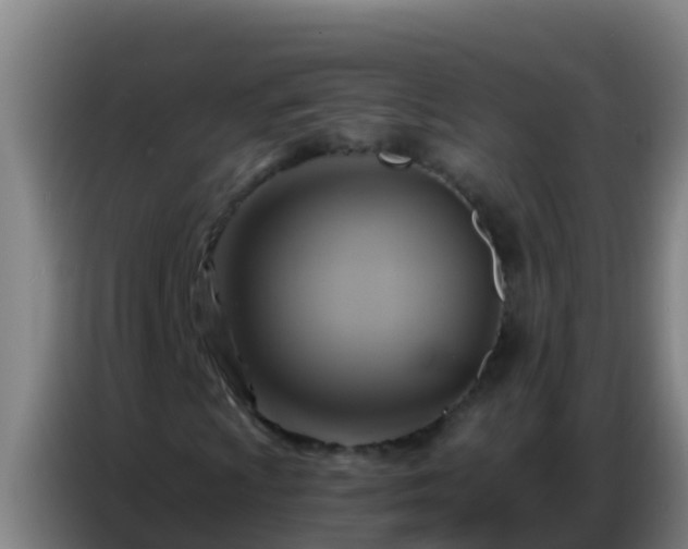 X0000086801009200704201859