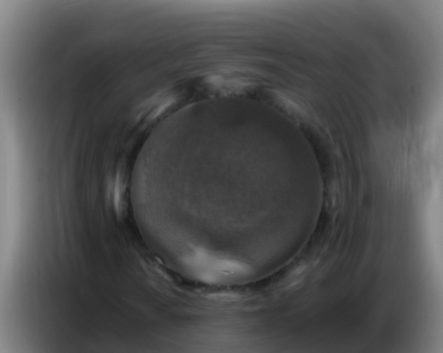 X0000086801010200704201859