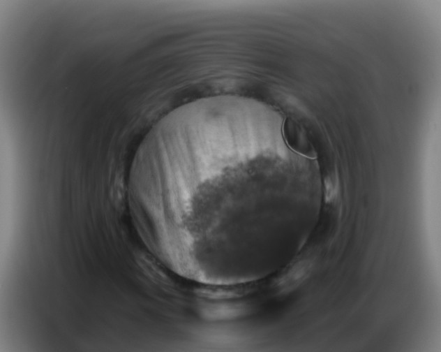 X0000086801011200704201859