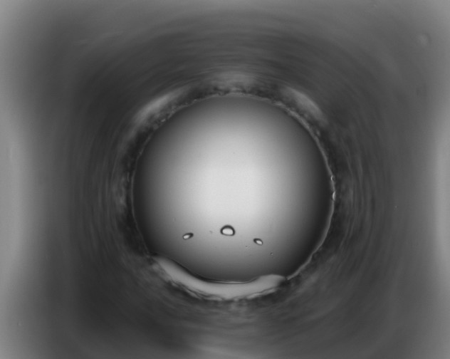 X0000086801016200704201859