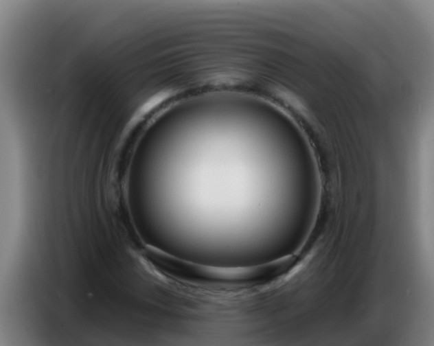 X0000086801018200704201859