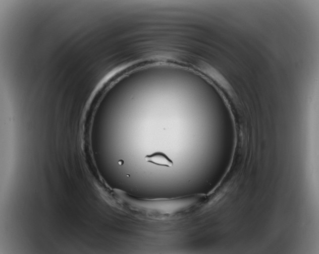 X0000086801020200704201859