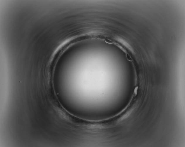 X0000086801021200704201859