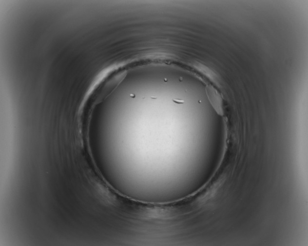 X0000086801022200704201859