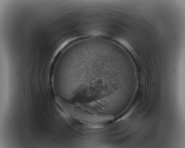 X0000086801023200704201859