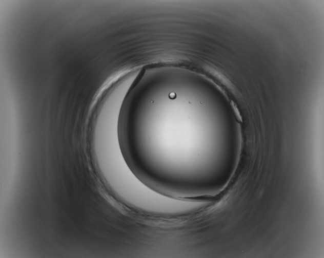 X0000086801026200704201859