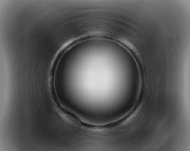 X0000086801029200704201859
