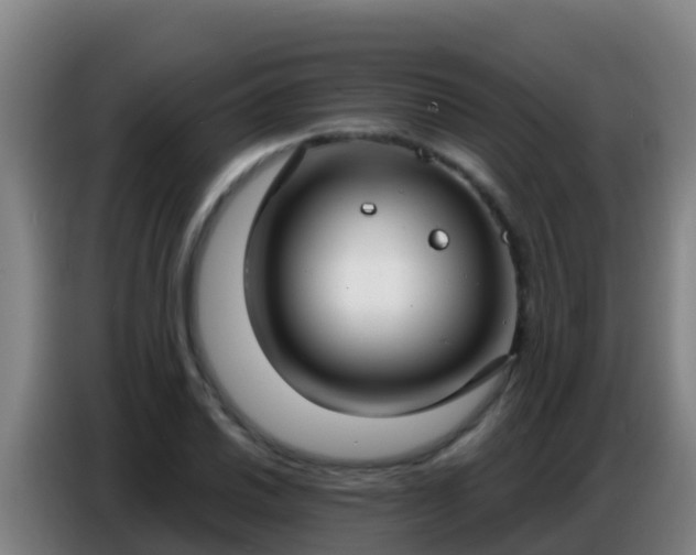 X0000086801030200704201859