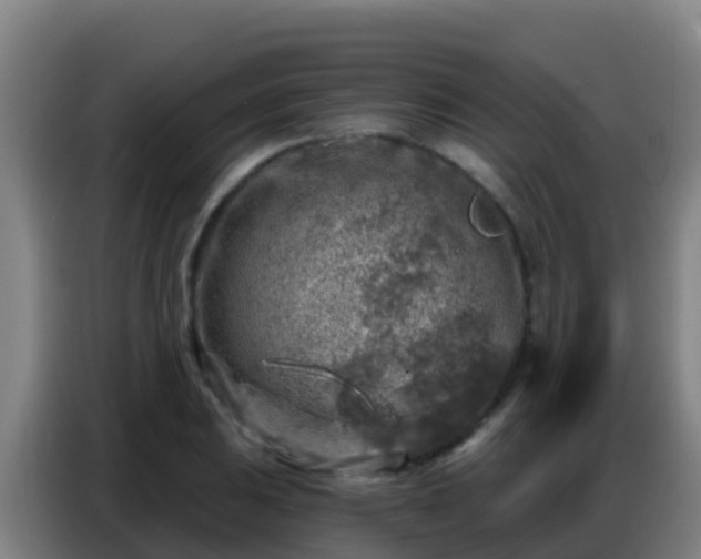 X0000086801031200704201859
