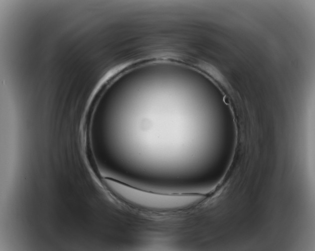 X0000086801032200704201859