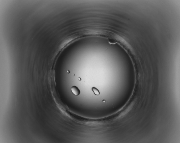 X0000086801033200704201859