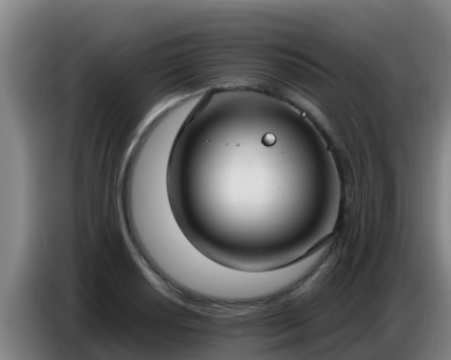 X0000086801034200704201859