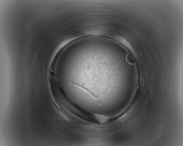 X0000086801035200704201859