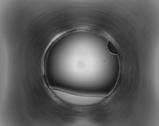 X0000086801036200704201859