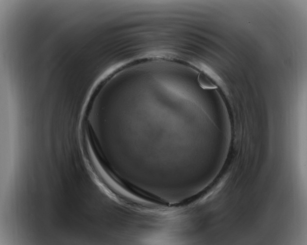 X0000086801037200704201859