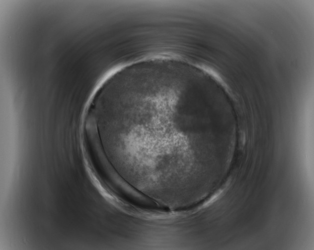 X0000086801038200704201859
