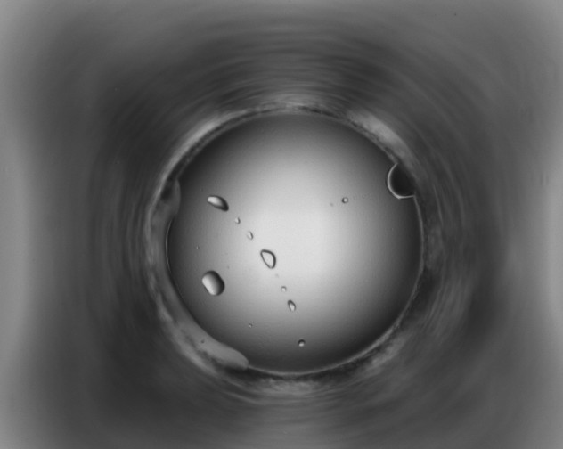 X0000086801039200704201859
