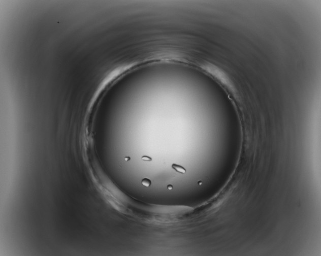 X0000086801040200704201859