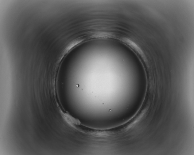 X0000086801041200704201859