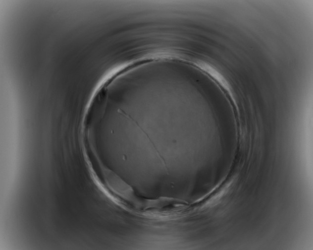 X0000086801045200704201859