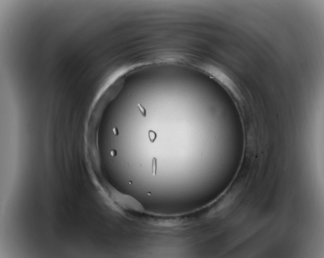 X0000086801047200704201859
