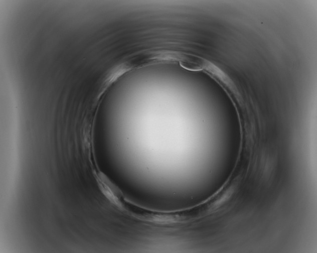 X0000086801049200704201859