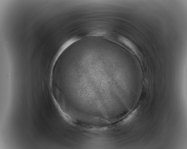 X0000086801050200704201859