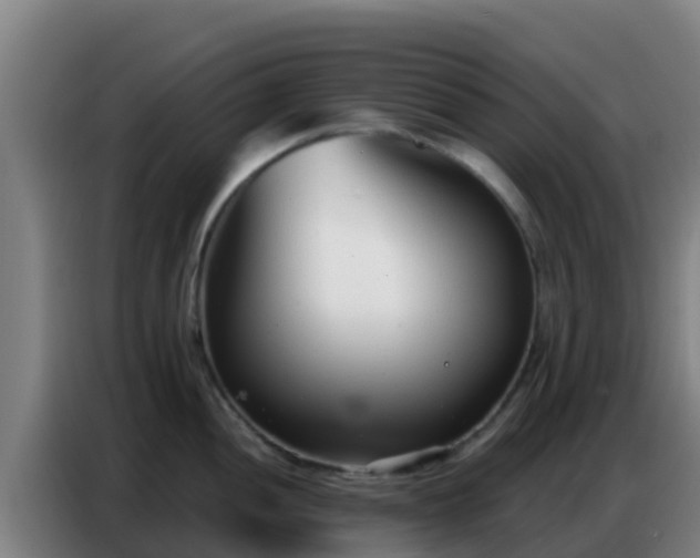 X0000086801052200704201859