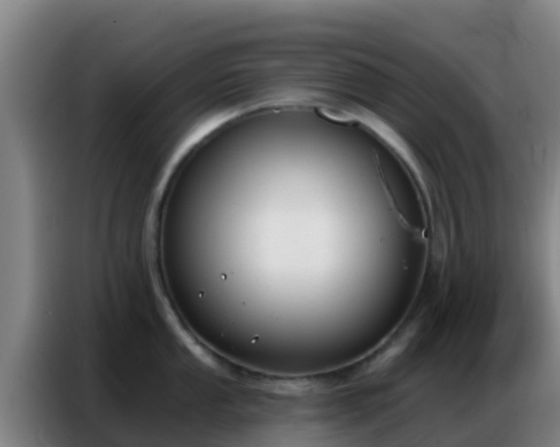 X0000086801053200704201859
