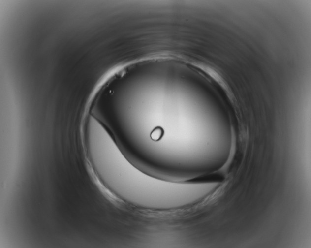 X0000086801054200704201859