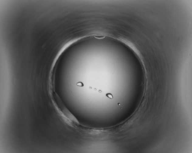 X0000086801056200704201859