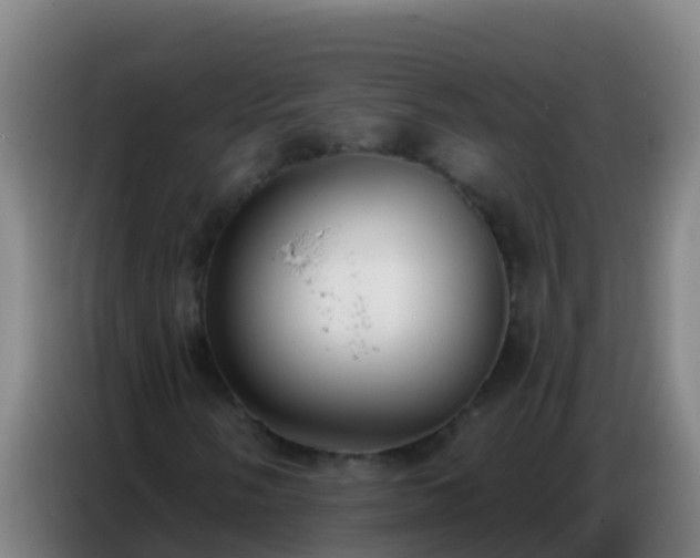 X0000086801058200704201859