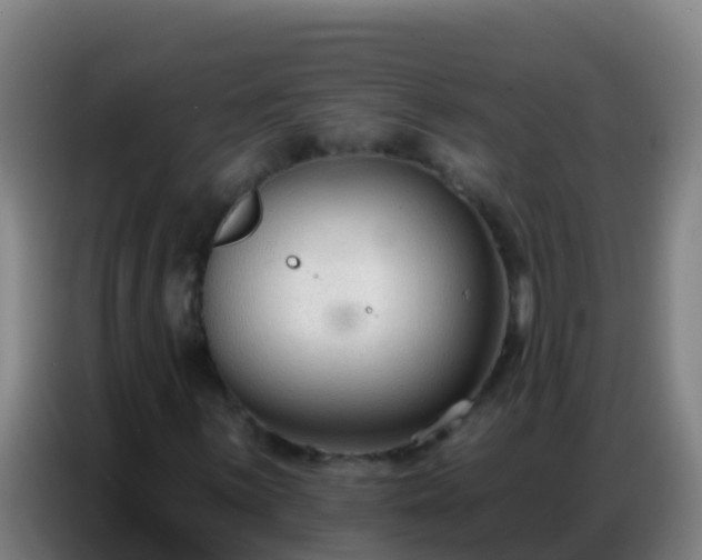 X0000086801059200704201859