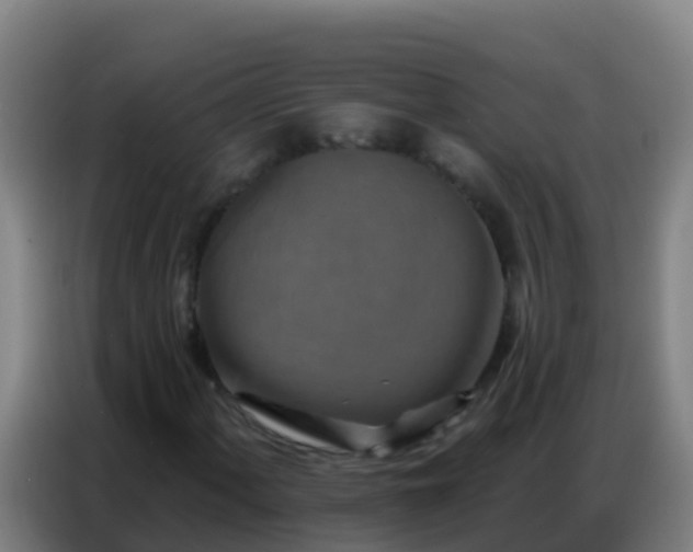 X0000086801060200704201859