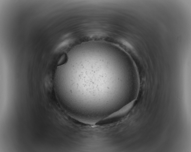 X0000086801063200704201859