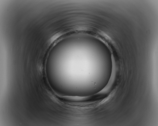 X0000086801065200704201859