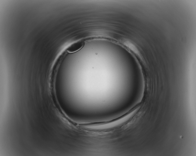 X0000086801068200704201859