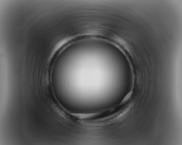 X0000086801069200704201859