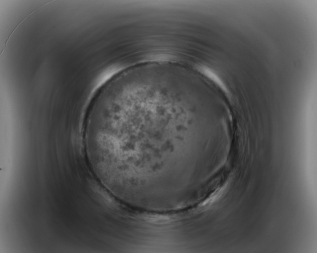 X0000086801071200704201859