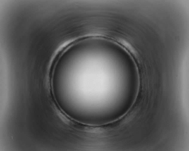 X0000086801072200704201859