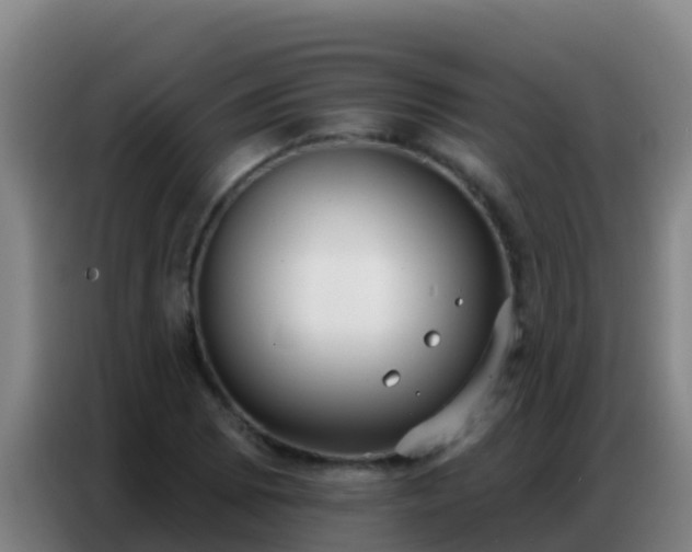 X0000086801073200704201859