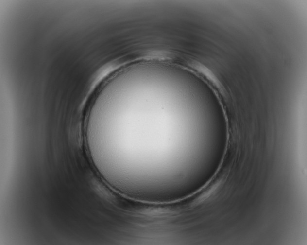 X0000086801075200704201859