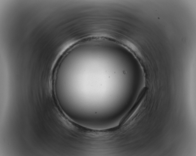 X0000086801076200704201859