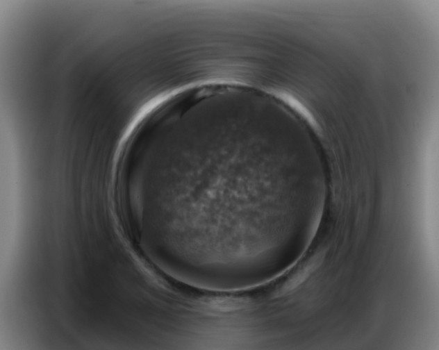 X0000086801077200704201859
