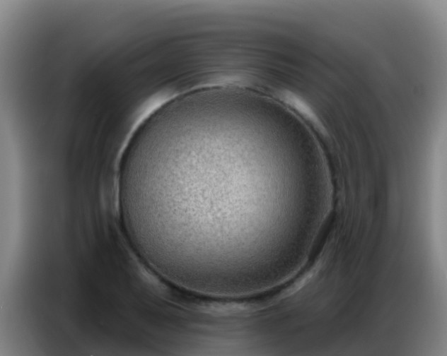 X0000086801079200704201859