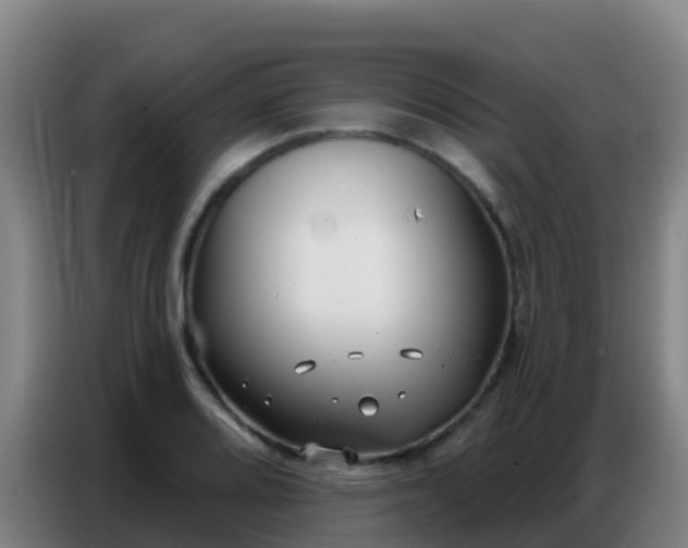 X0000086801080200704201858