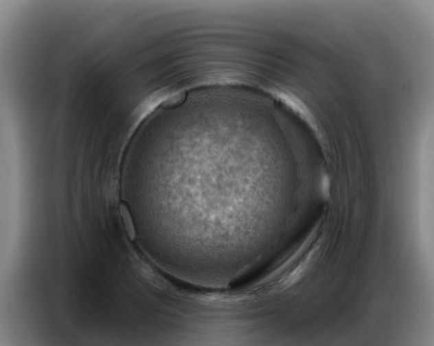 X0000086801081200704201858