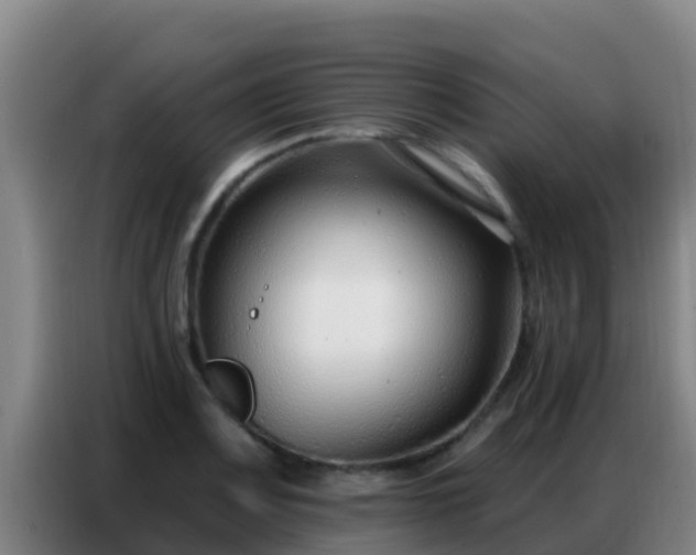 X0000086801083200704201858