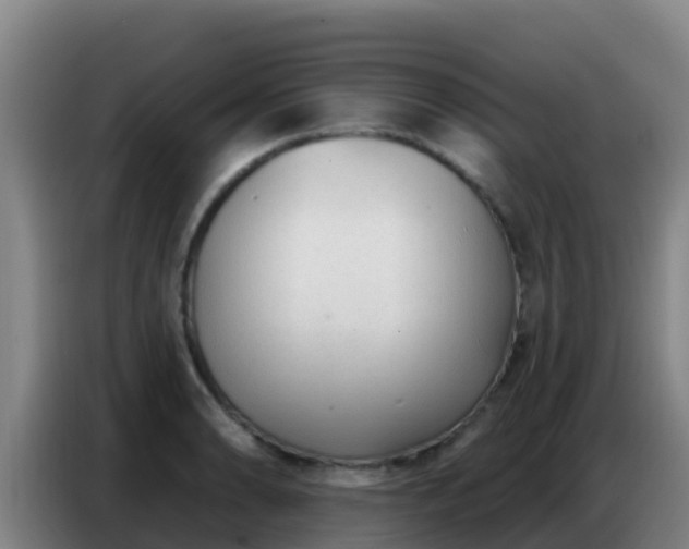 X0000086801086200704201858