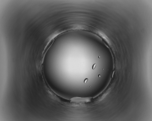 X0000086801089200704201858